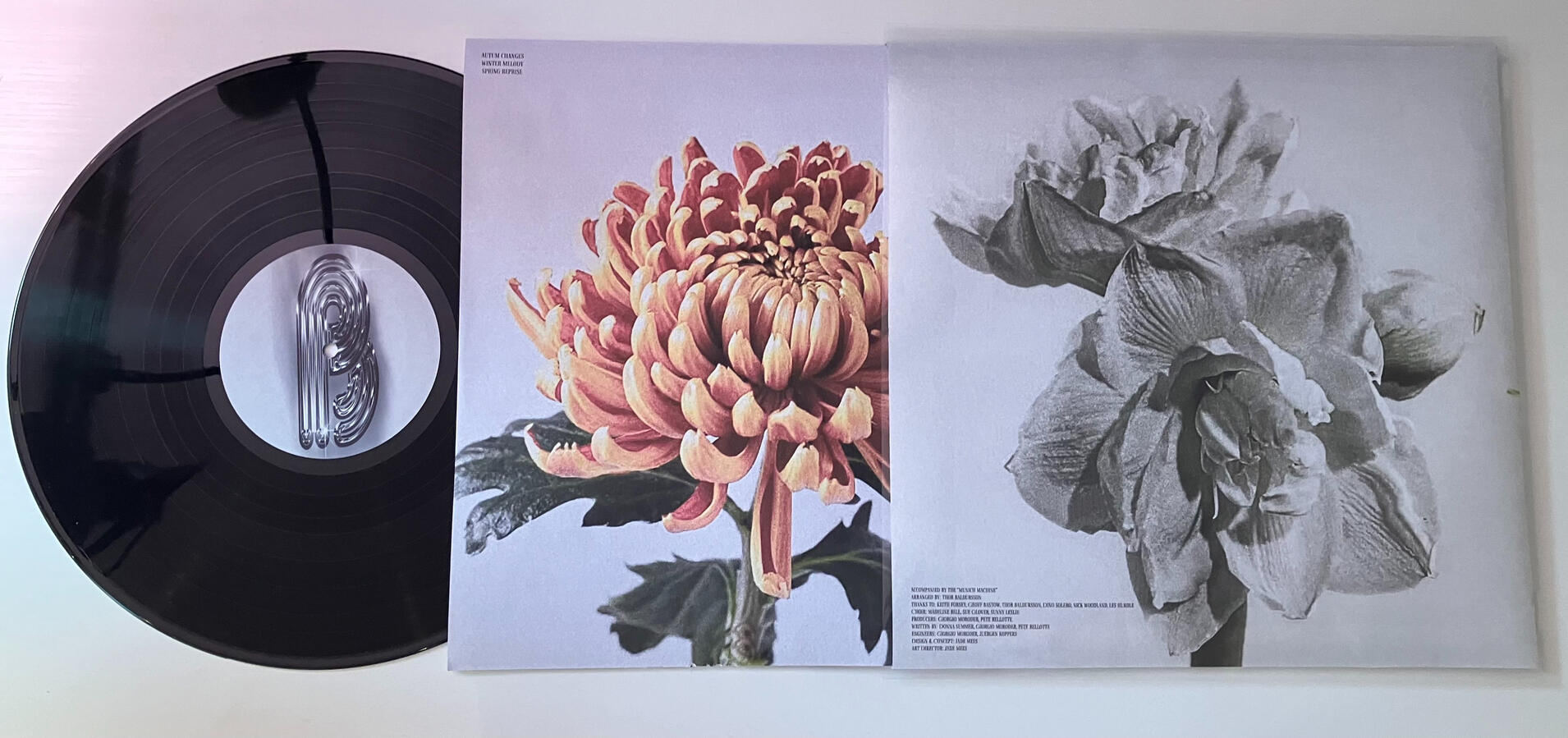 Album Cover Back